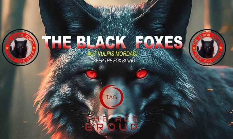 F.C The Black Foxes of Mungoni