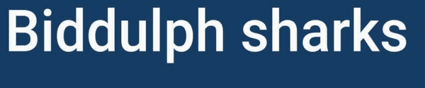 Biddulph Sharks U10