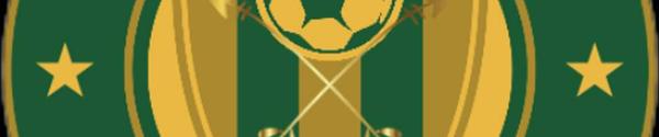 Golden arrows fc
