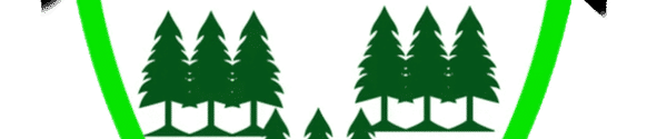 WAREHAM FOREST AFC