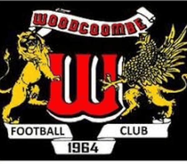 Woodcombe Youth United U8s