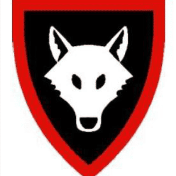 Holmbury & Westcott Wolves U15