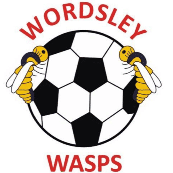Wordsley Wasps FC