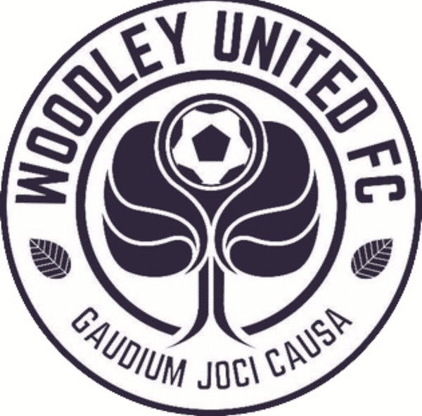 Woodley United U12 Cyclones