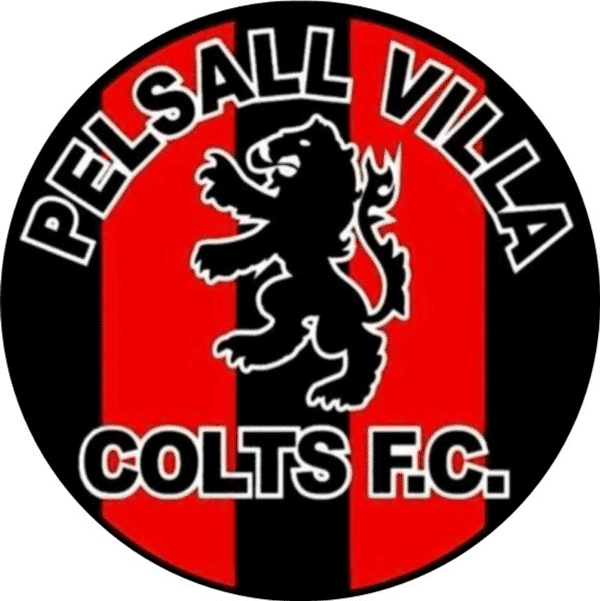 PVC FC Swifts