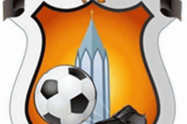 Fryerns boys u10s lions