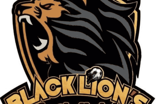BLACK LION'S FC