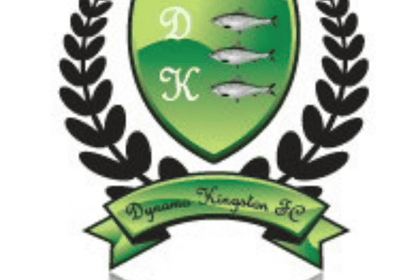 Dynamo Kingston Sunday