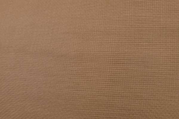 The Warren Lions U14