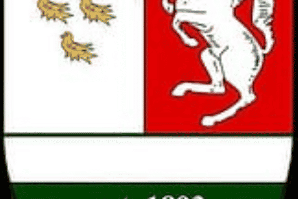 Rotherfield under 18s