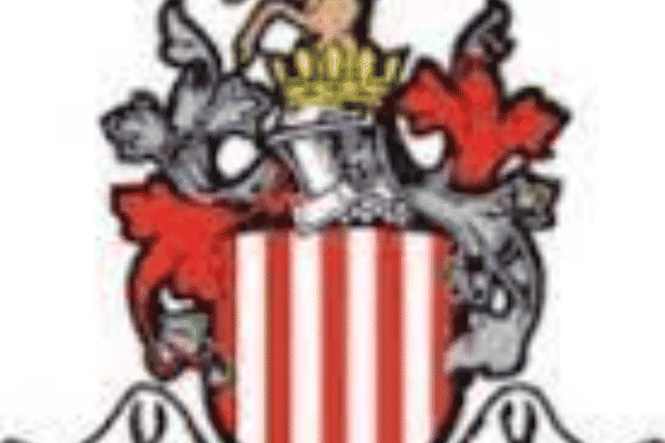 Stevenage Borough Juniors U16 Giants