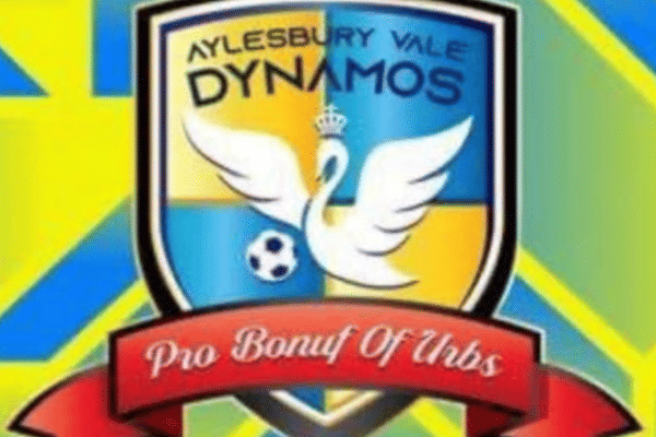 Aylesbury Vale Dynamos 1
