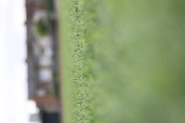 East London Athletic(U15)