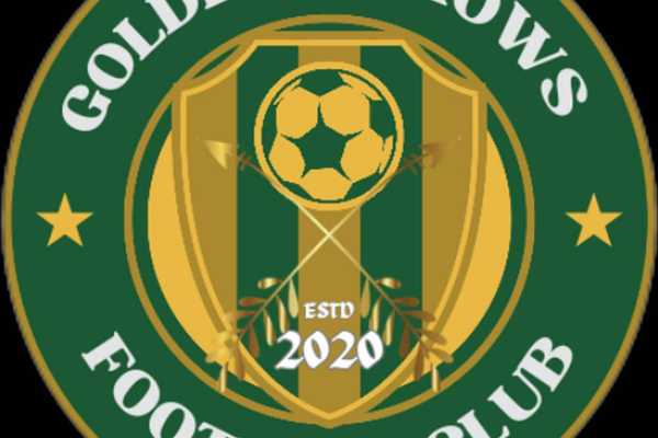 Golden arrows fc