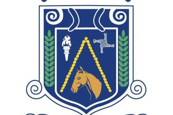 Newbridge Town Football Club