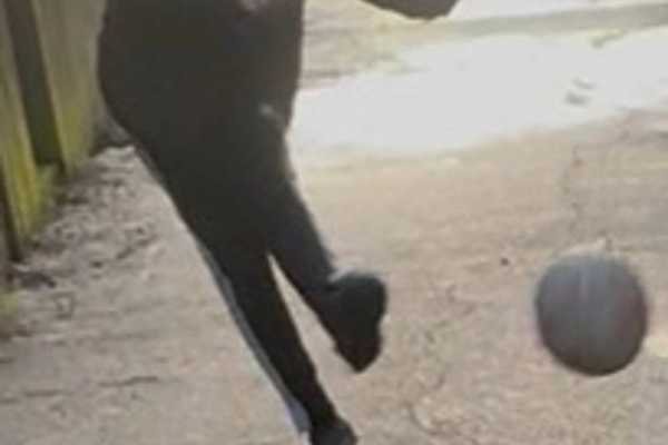 The Snakes North AFC