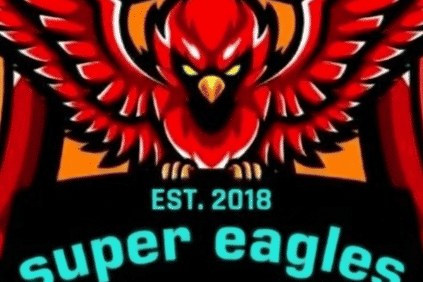 SUPER EAGLES