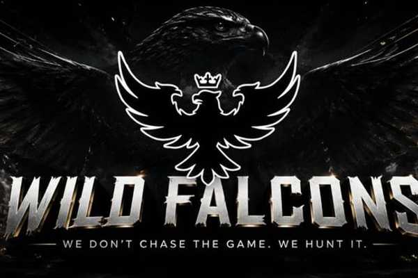 Wild Falcons