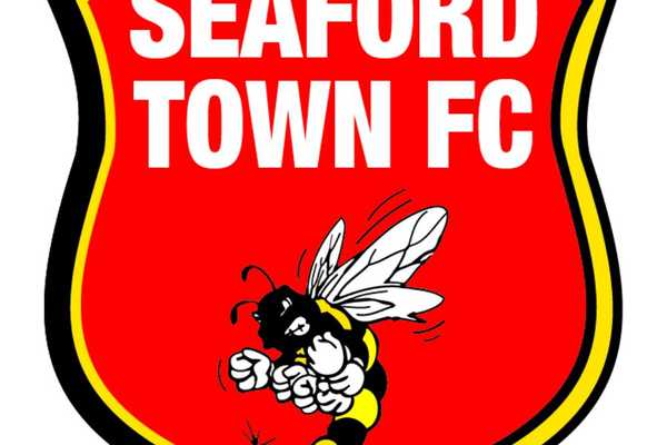 Seaford Town Youth U7
