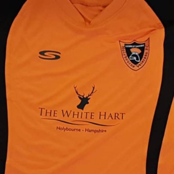 Holybourne Veterans Reserves