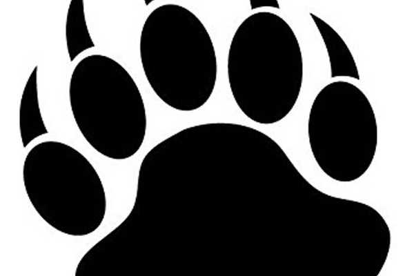 North Wellington Bears