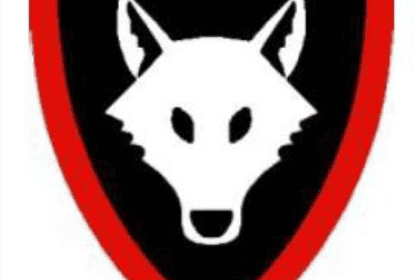 Holmbury & Westcott Wolves U15