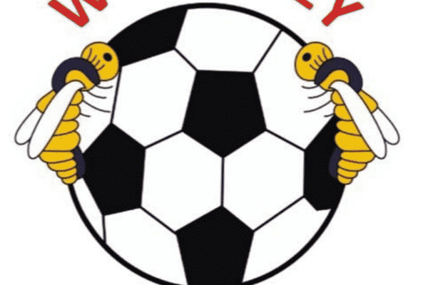 Wordsley Wasps FC
