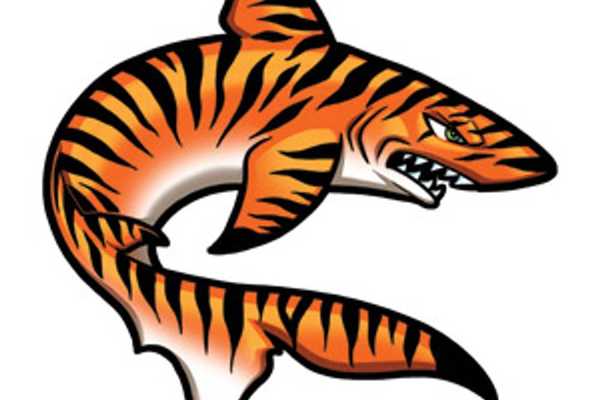 ROFC Tiger Sharks