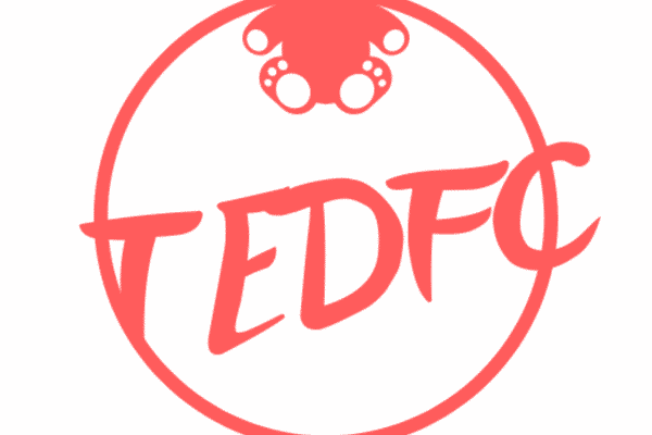 Ted FC