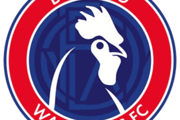 Dorking Wanderers FC