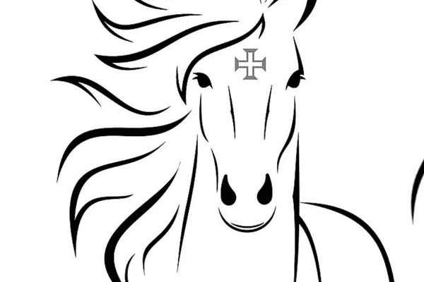 Cavalos Lusitanos de Southampton