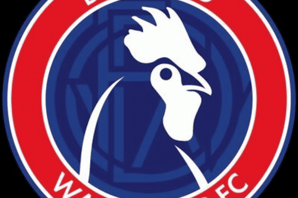 Dorking Wanderers F C
