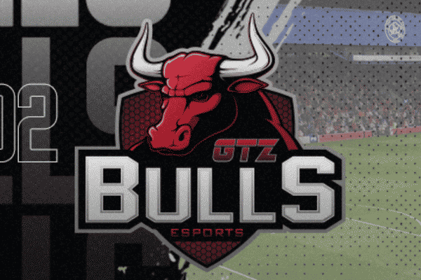 NPlay GTZ BULLS