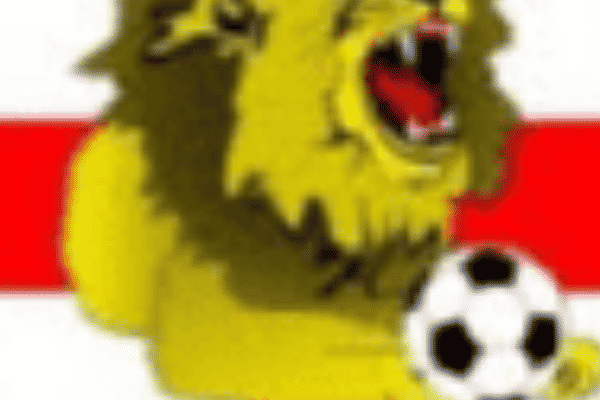 Esher Colts Yellows U14