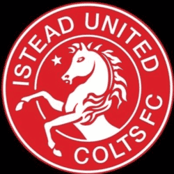 Istead United Colts team badge