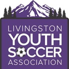 Livingston YSA team badge