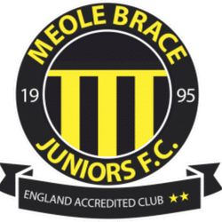 Meole Brace Eagles team badge