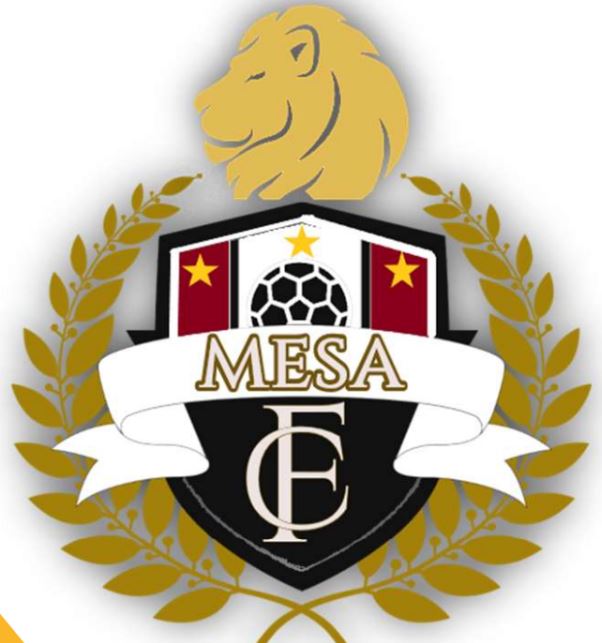 Mesa Futbol Club team badge