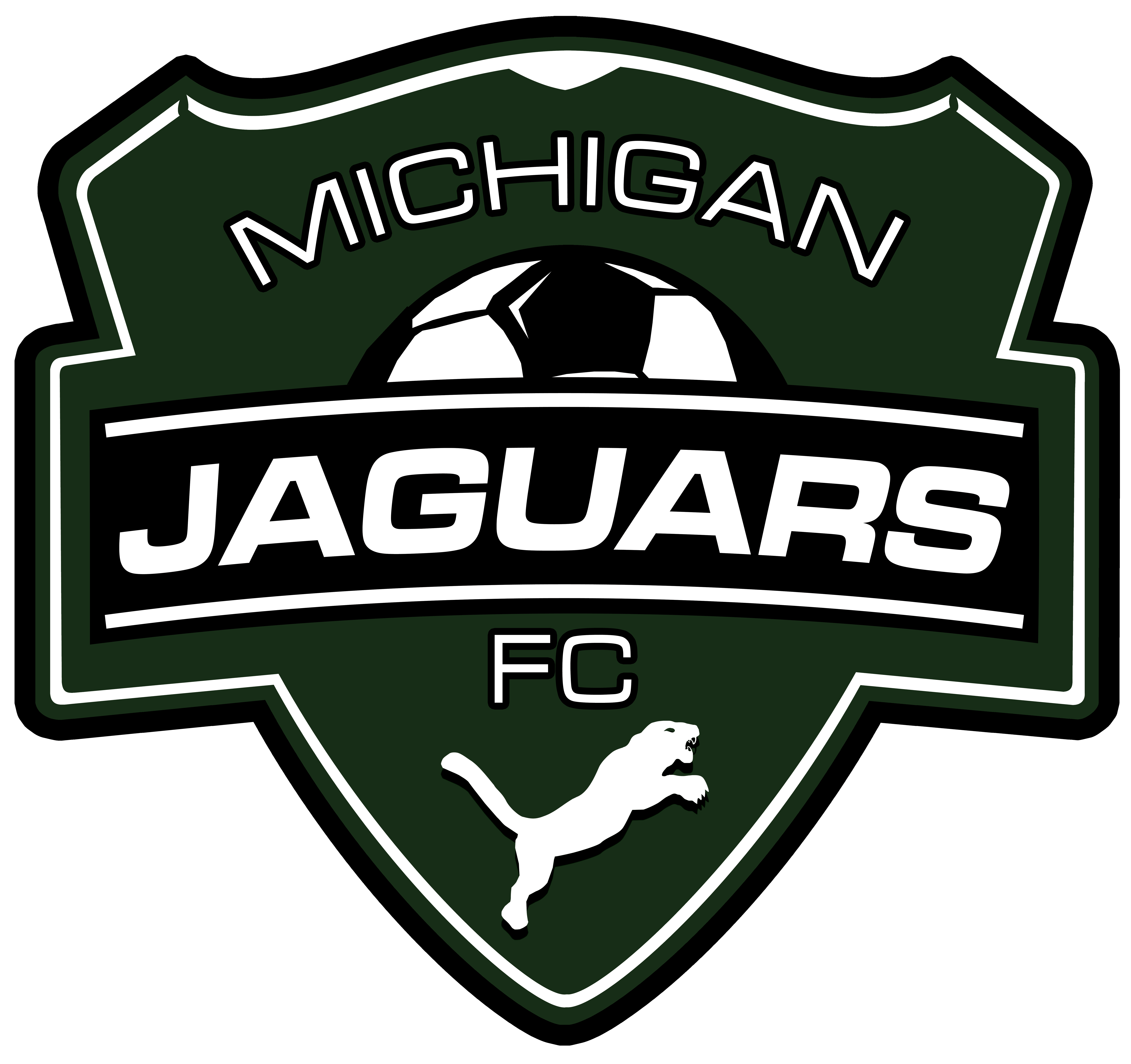 Michigan Jaguars team badge