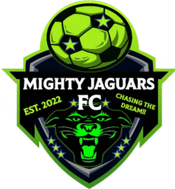 Mighty Jaguars Senior Team team badge