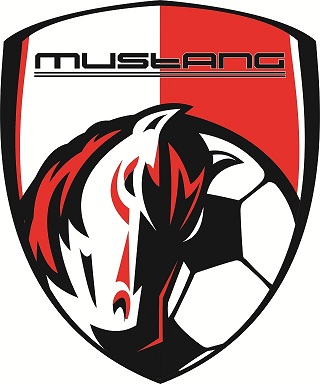 Mustang YSA team badge