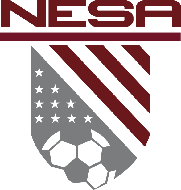 NESA team badge