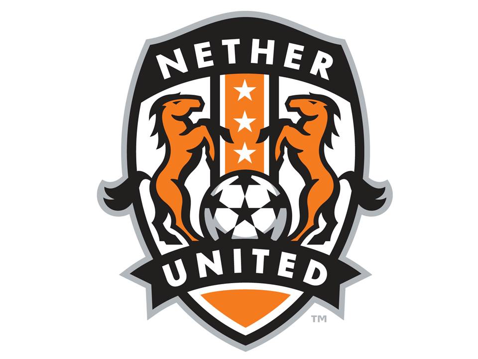 Nether Providence AA team badge