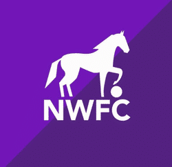 Netheravon Wanderers FC Reserves team badge