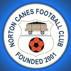 Norton Canes Colts team badge
