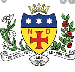 Notre Dame team badge