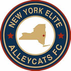 NY Elite Alleycats FC team badge