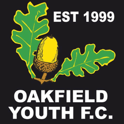 Oakfield U11 Merlins team badge