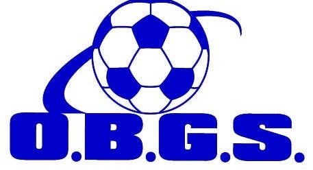 Old Bridge Girls Soccer team badge