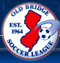 Old Bridge SL team badge